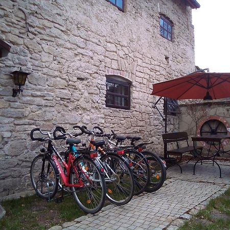 Villa Wisniowy Mlyn Wisniowa k Staszowa Exterior foto