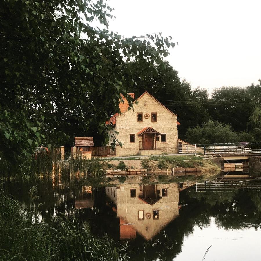 Villa Wisniowy Mlyn Wisniowa k Staszowa Exterior foto