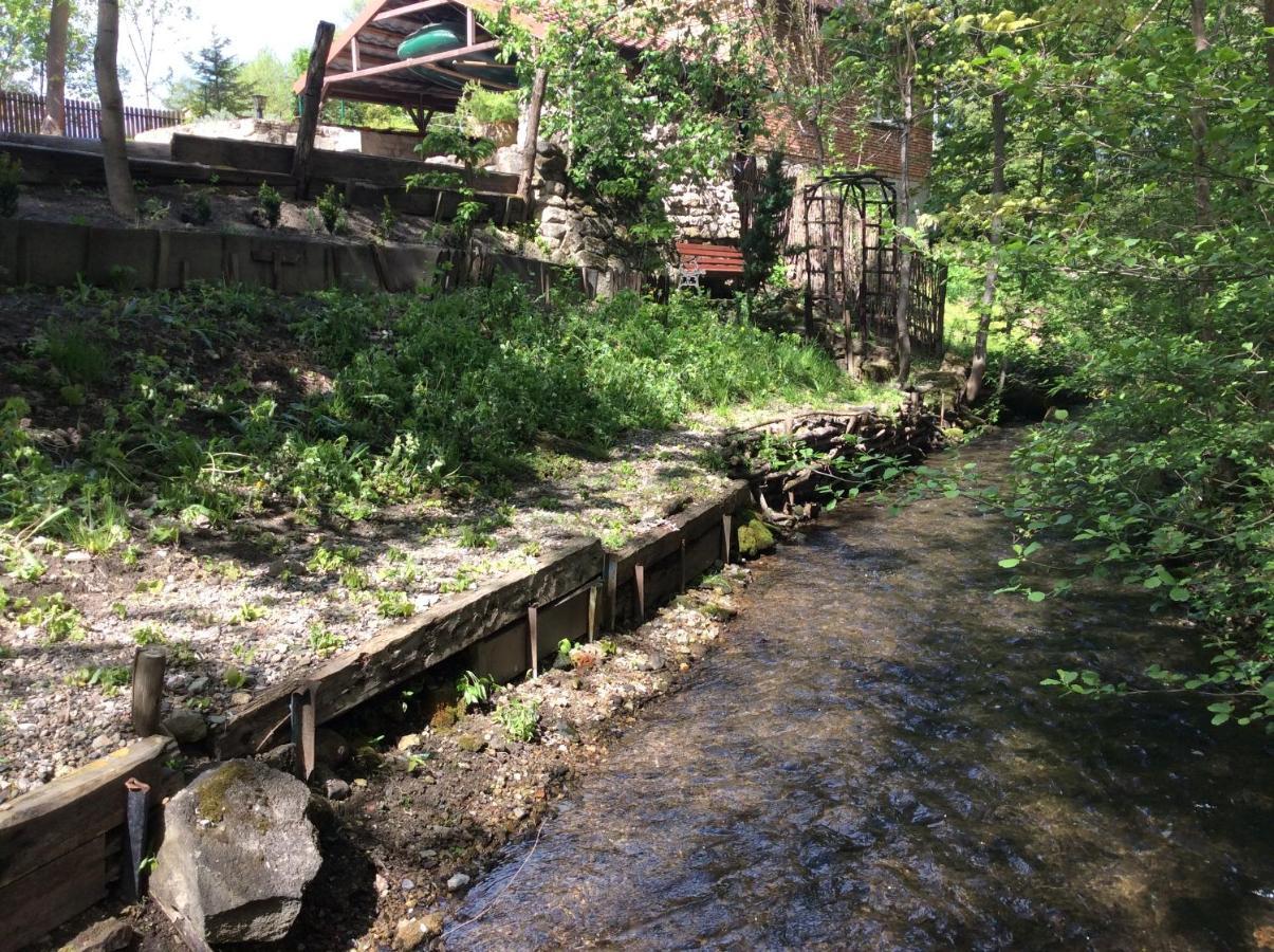 Villa Wisniowy Mlyn Wisniowa k Staszowa Exterior foto